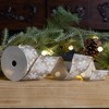 Wired Polyester Ribbon 2.5" x 10 yds. (Set of 2) - 3 of 3