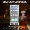 Kismile Mini Fridge 14.96 inchesW 56 Cans (12 oz.) Freestanding/Built-In Beverage Cooler with 17 Bottle Storage - 4 of 4