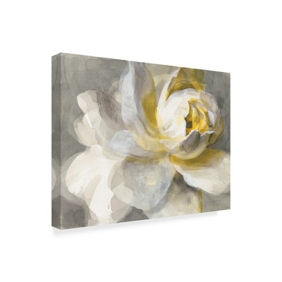 Trademark Fine Art -Danhui Nai 'Abstract Rose' Canvas Art