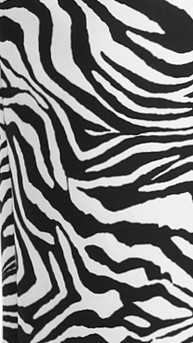 zebra print