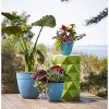 Bloem Dayton Round Resin Planter Pot Indoor and Outdoor Gardening - 2 of 4