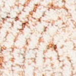 ivory/rust