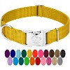 Country Brook Petz Premium Nylon Dog Collar with Metal Buckle for Small Medium Large Breeds - Vibrant 30+ Color Selection - 2 of 4