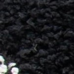 black/ivory
