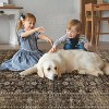 Hallway Runner Rug Machine Washable Vintage Rug Indoor Carpet - 4 of 4