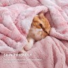 Bedsure- Cloud Soft PV Blanket ,Comfy Plush and Furry Faux Fur - 3 of 4