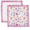 Bacati - Little Dino Rainbow Girls Muslin 2 pack Security Blankets Pink Fuchsia Orange Aqua - 4 of 4
