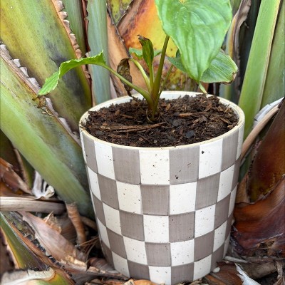 Checker Stoneware Indoor Outdoor Planter Pot - Threshold™ : Target