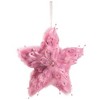 Northlight Plush Feather Star Glittered Christmas Ornament with Hearts -12" - Pink - 3 of 4