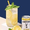 Owen’s Craft Mixers Sparkling Margarita Handcrafted in the USA with Premium Ingredients Vegan & Gluten-Free Soda Mocktail and Cocktail Mixer - 4 of 4