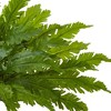 15" x 26" Artificial Fern Ledge Plant in Basket - Nearly Natural: Indoor Silk Greenery Decor - 3 of 3