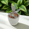Unique Bargains Artificial Plants Pulp Planter Plastic Flesh 2.44"x2.44"x3.35" 1Pc - 2 of 4