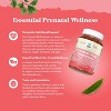 Prenatal Multi Gummies for Women, Chewable Prenatal Vitamins with Iron Folic Acid and Superfruit Blend, Pineapple & Mango, Nature's Craft, 60ct - 4 of 4