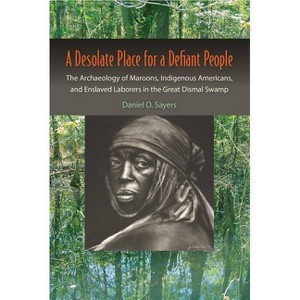A Desolate Place for a Defiant People - (Co-Published with the Society for Historical Archaeology) by  Daniel O Sayers (Paperback) - 1 of 1