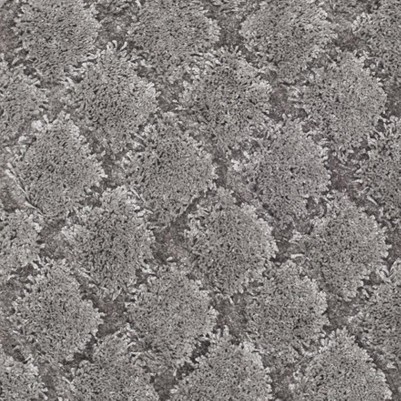 light grey/light grey