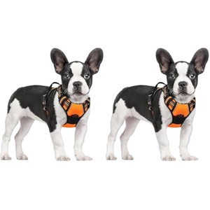rabbitgoo Dog Harness,  Easy Control Handle for Small Dogs,Orange,S (Pack of 2) - 1 of 1
