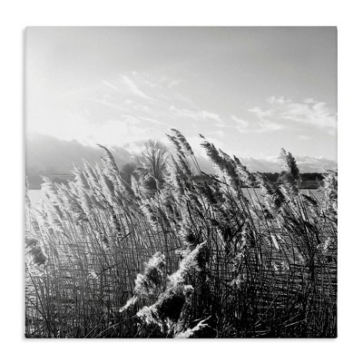 Stupell Industries Tall Grass Lake Water Landscape, 30" x 30"