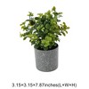 Unique Bargains Artificial Plants Plastic Flower Pot Plastic 3.15"x3.15"x7.87" 1 Pcs - 3 of 4
