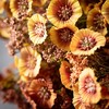 16"H Sullivans Artificial Fall Flower Bush Set of 3, Multicolor - 2 of 4