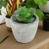 Unique Bargains Artificial Plants Mini Graptoveria in Pulp Plastic 2.36"x2.36"x3.15" 1 Pcs - 2 of 4