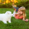 Infants' Dye-Free Acetaminophen Fever Reducer/Pain Reliever Liquid - Grape - 2 fl oz - up & up™ - image 3 of 4
