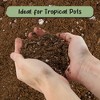 Soil Sunrise Bird of Paradise Potting Soil Mix, for Indoor / Outdoor Container Tropical Plants - 4 of 4