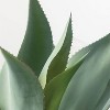Sullivans Artificial Agave Potted Plant 20"H Green - 2 of 4