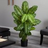 Nearly Natural 4-ft Dieffenbachia Plant (Real Touch) - 3 of 3