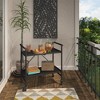 COSCO Indoor/Outdoor Folding Serving Cart with 2 Shelves - 2 of 4