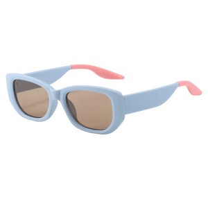 Anna-Kaci Retro Thick Frame Cat Eye Sunglasses with Contrasting Arms and UV400 Protective Lenses - 1 of 3