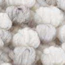 cream, beige, gray, medium brown