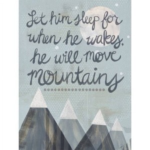Oopsy Daisy's Let Him Sleep Canvas Wall Art - Size 14x18 - 1 of 1