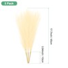 Unique Bargains Dried Plants Artificial Durable Small Fluffy Pampas Grass 7 Branches for Home, Office, Party 17.7 Inch - 3 of 4