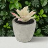 Unique Bargains Artificial Plants Plastic Pink 2.36"x2.36"x2.76" 1 Pcs - 2 of 4