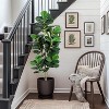 Acekool Faux Fiddle Leaf Fig Tree Artificial Indoor Plant with Realistic Green Leaves and Stable Pot for Home and Office Decor - 3 of 4