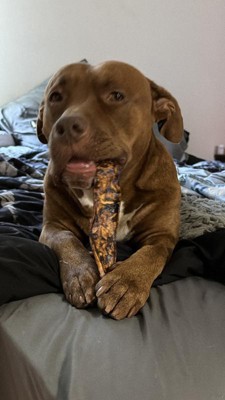 Guest review image 2 of 6, zoom in