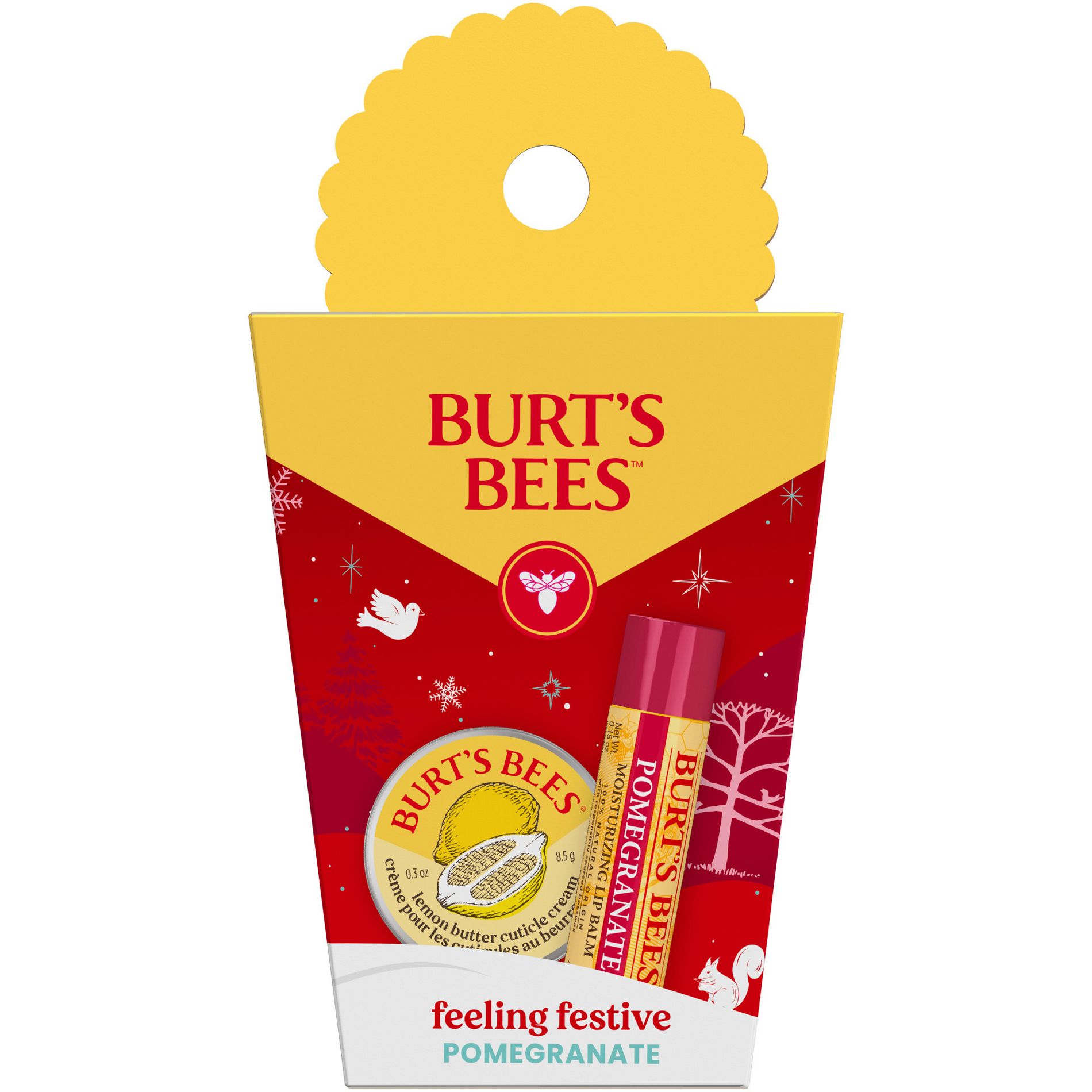 Burt's Bees Feeling Festive Pomegranate Lip Balm Gift - 16oz