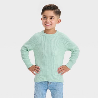 Toddler Boys' Pullover Crew Neck Sweater - Cat & Jack™