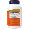 Milk Thistle Extract, Double Strength 300 mg by Now Foods  -  200 VegCap - 2 of 3
