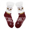 Adult Harry Potter Burgundy Hedwig Cozy Cabin Socks - 3 of 4