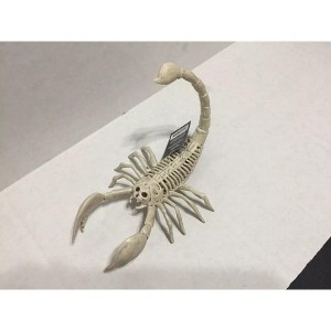 Skeleton Scorpion Halloween Decoration, 9 in. - 1 of 3