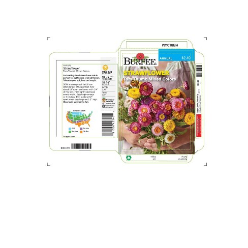 Burpee Strawflower Tom Thumb Mixed Colors Flower Seeds - image 1 of 1