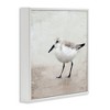 Stupell Industries Lone Sandpiper Bird Portrait, 24" x 24" - 3 of 4