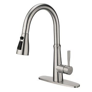 WOWOW Single Handle Pull Down Sprayer Kitchen Faucet - 1 of 4