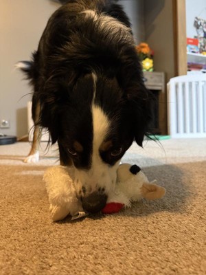 Guest review image 1 of 3, zoom in