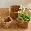 Plum & Post Seagrass Square Baskets With Cuffs, Set Of 3 - 3 of 4