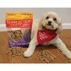 Charlee Bear Grain-Free Crunch Dog Treats-Turkey, Sweet Potato & Cranberry(8 oz) - image 2 of 3