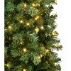 National Tree Company First Traditions Pre-Lit LED Slim Linden Spruce Artificial Christmas Tree Warm White Lights - image 3 of 3