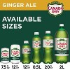 Canada Dry Zero Sugar Ginger Ale Soda - 12pk/12 fl oz Cans - image 3 of 4