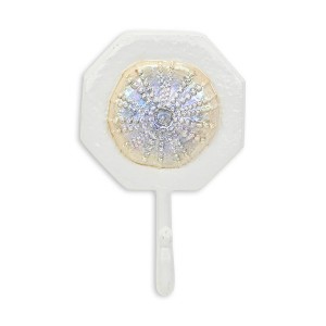 HomeRoots 4" Pearl And White Cast Iron Sand Dollar Wall Hook - 1 of 4